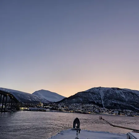 Corner Vervet Daire *