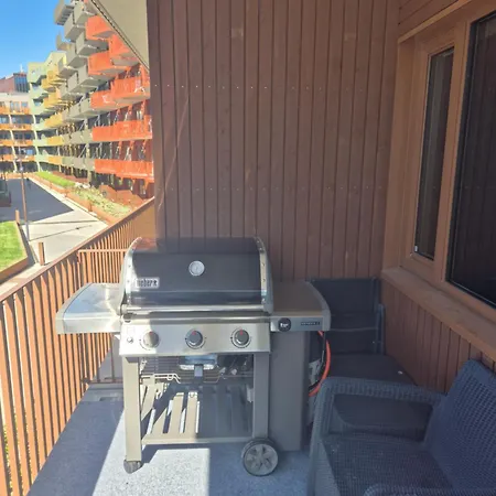 Corner Vervet Daire *