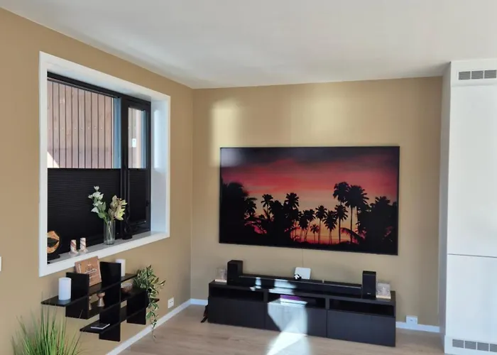 Corner Vervet * 트롬쇠